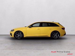 AUDI Rs4 avant 2.9 tfsi competition plus quattro 450cv tiptronic