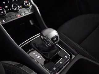 SKODA Karoq 1.6 tdi ambition dsg
