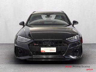 AUDI Rs4 avant 2.9 tfsi quattro 450cv tiptronic