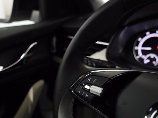 SKODA Kamiq 1.0 tsi black dots 110cv